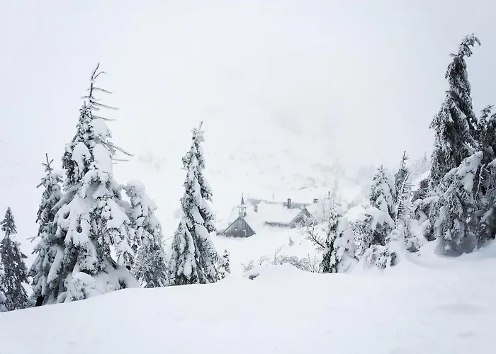 Apartment Przy Stoku Pod Papugami Karpatia