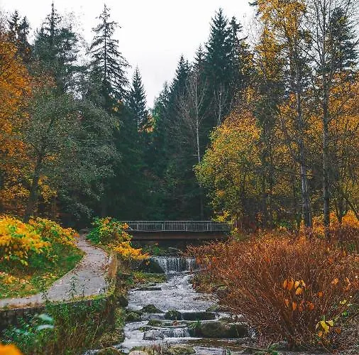 Apartment Przy Stoku Pod Papugami Karpatia