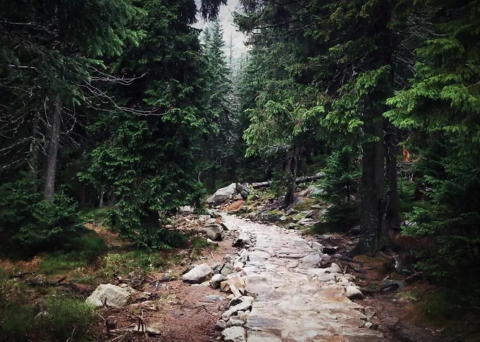 Przy Stoku Pod Papugami Karpatia Apartment Karpacz