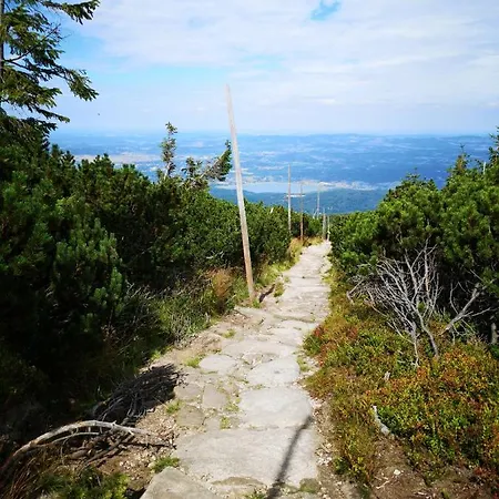 Przy Stoku Pod Papugami Karpatia 公寓 卡尔帕奇