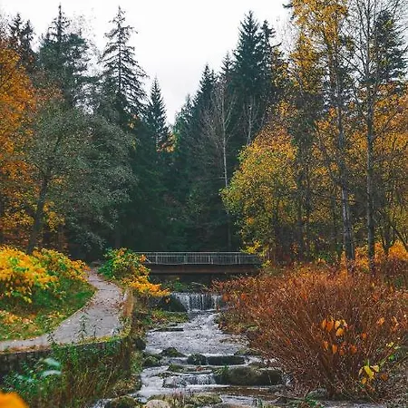 公寓 Przy Stoku Pod Papugami Karpatia