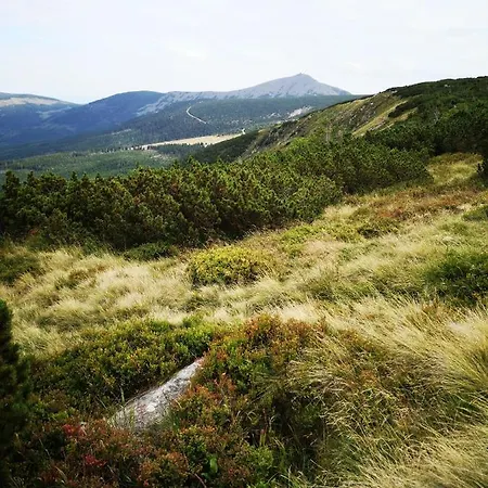 Przy Stoku Pod Papugami Karpatia