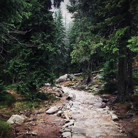 Przy Stoku Pod Papugami Karpatia 公寓 卡尔帕奇