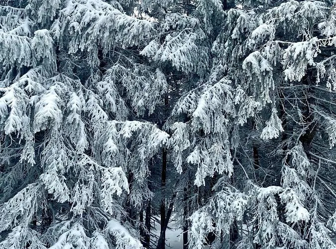 Apartman Przy Stoku Pod Papugami Karpatia Karpacz
