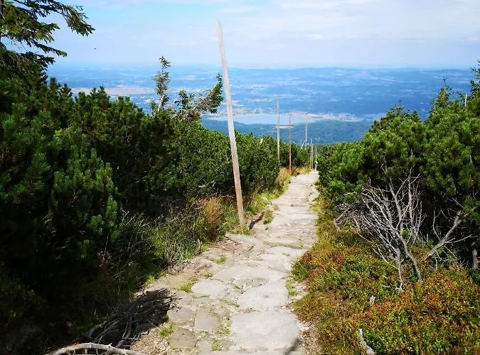 Przy Stoku Pod Papugami Karpatia Apartman Karpacz