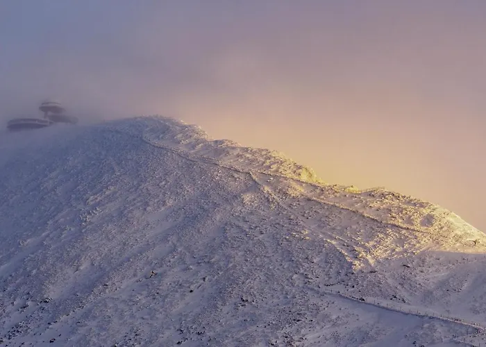 Przy Stoku Pod Papugami Karpatia Apartman *
